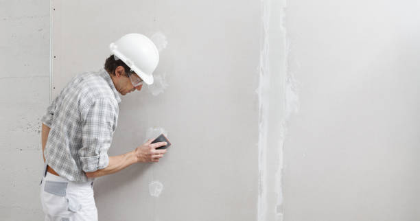 Best Drywall Removal and Disposal  in Radcliff, KY